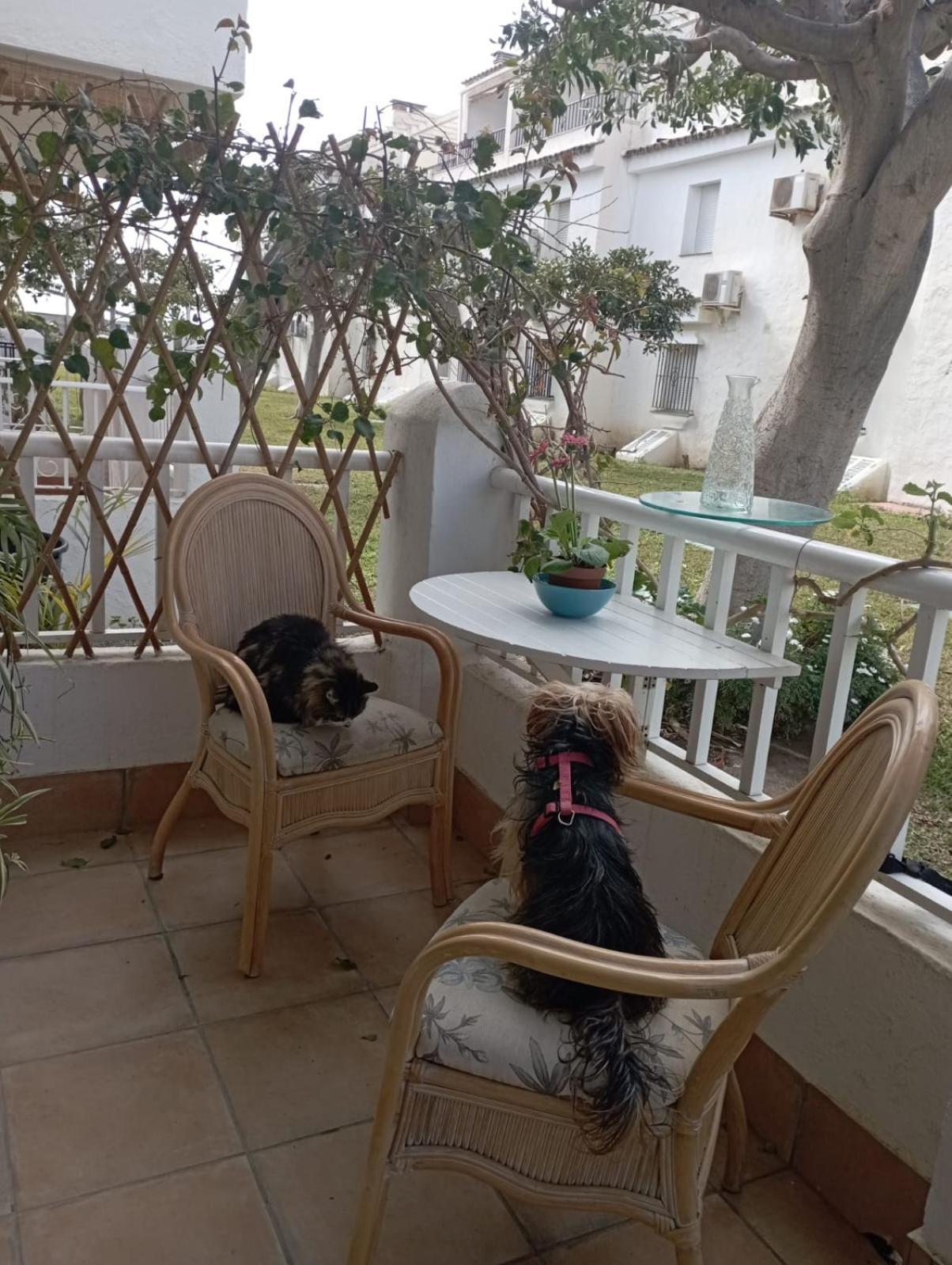 Apartamento Laguna Beach Torrox Costa Экстерьер фото